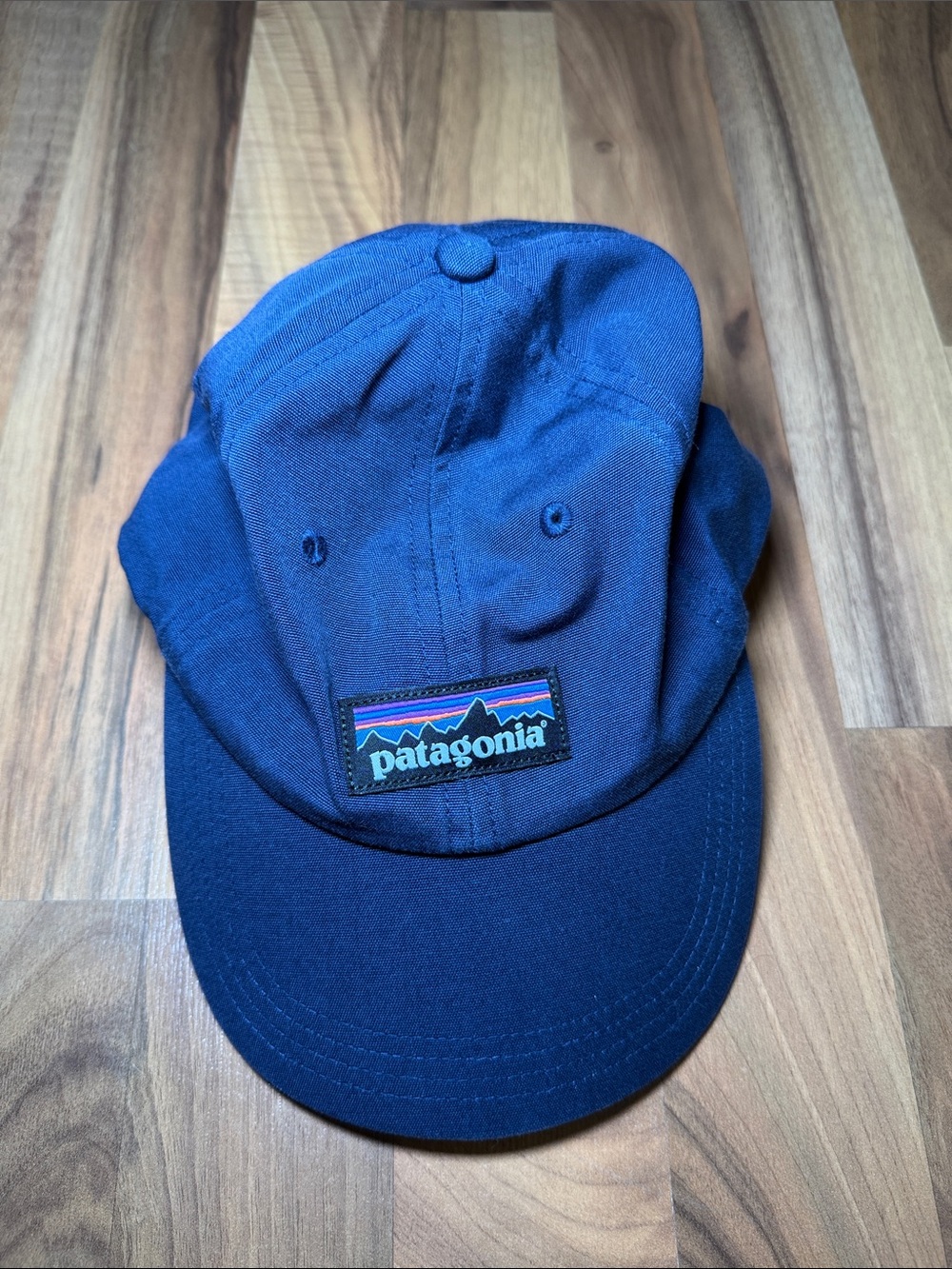 Patagonia Dark Blue Logo Baseball Cap